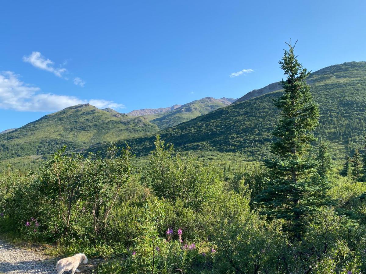 Denali Rv Park & Motel Healy Εξωτερικό φωτογραφία