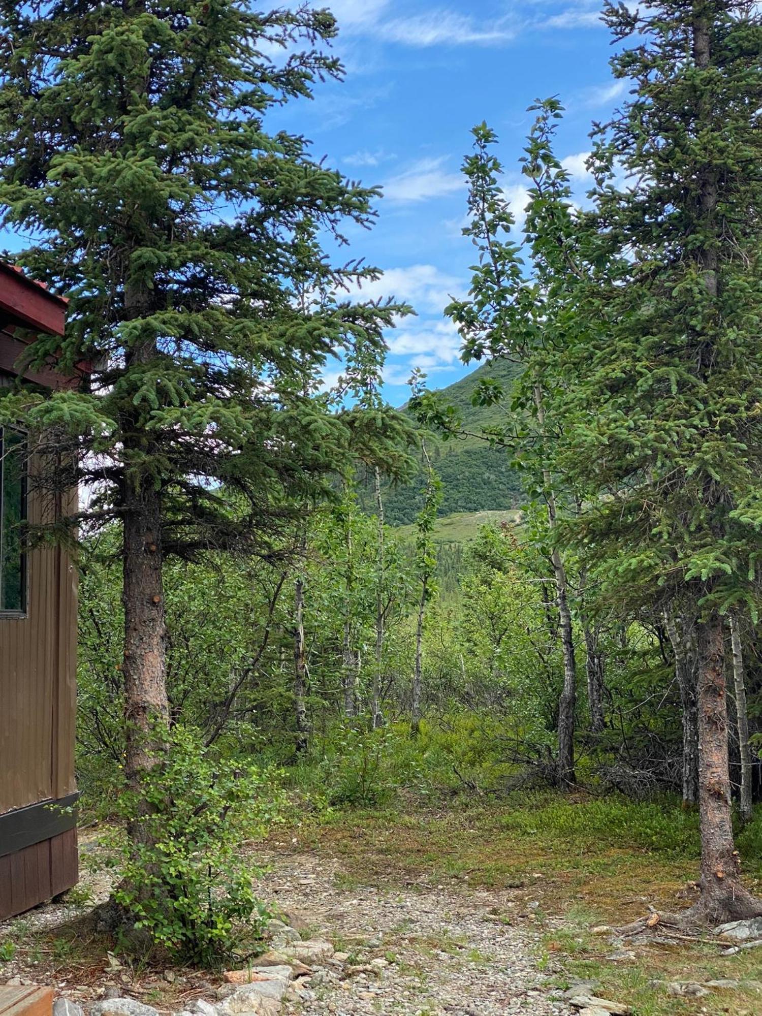 Denali Rv Park & Motel Healy Εξωτερικό φωτογραφία